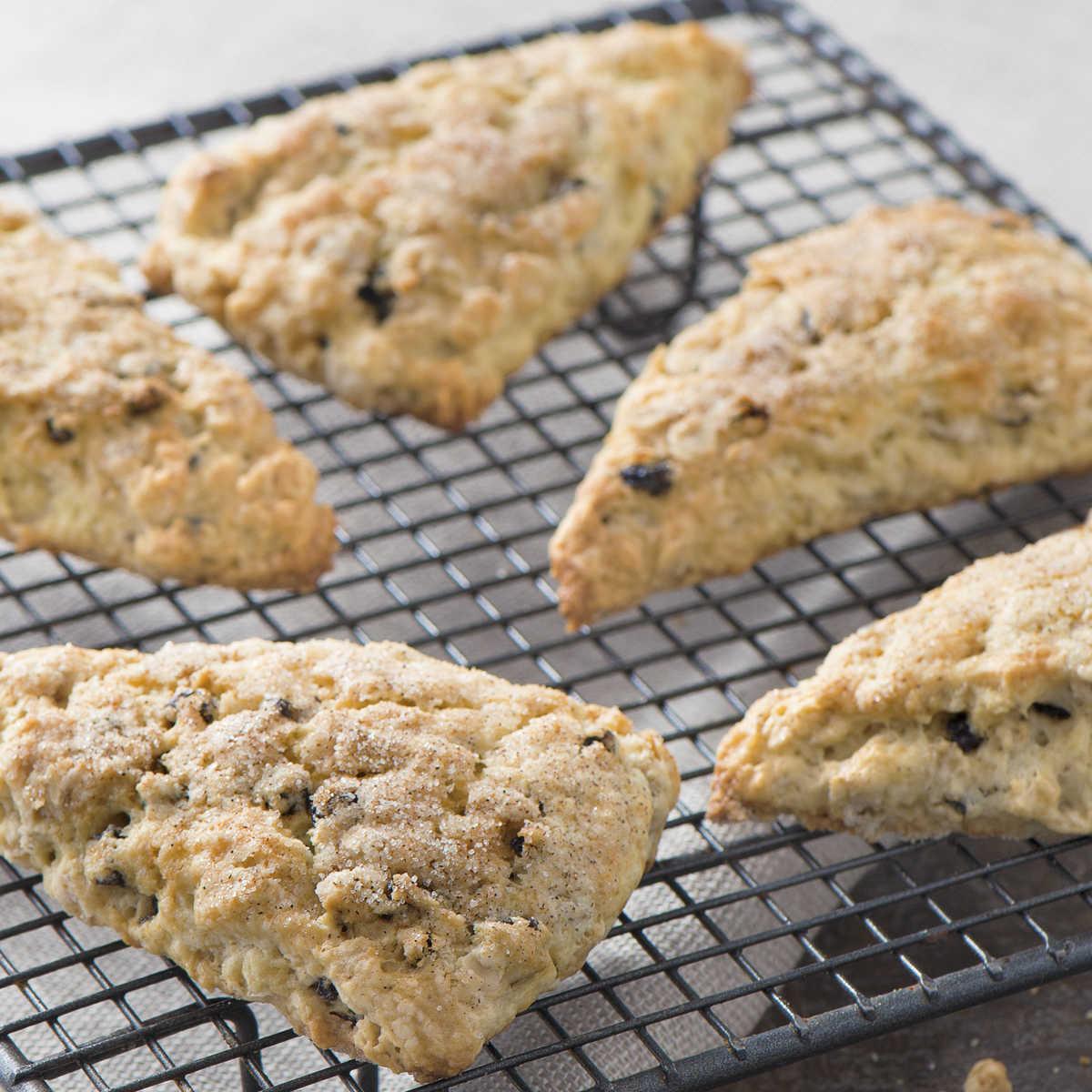 Scottish Oat Scones