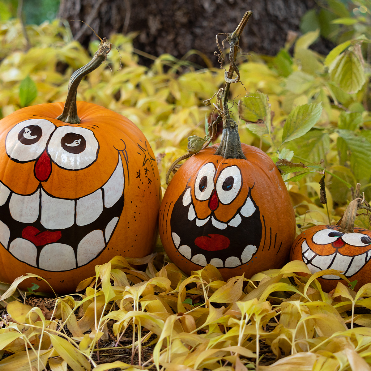 5 Easy Ways to Decorate a Pumpkin 