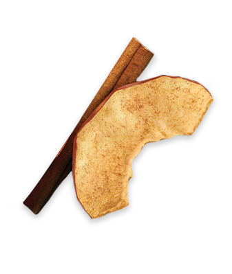 Cinnamon stick and Apple slice