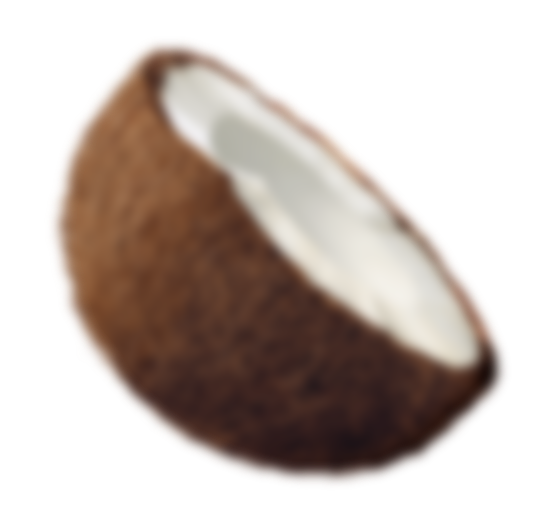 Une demi-noix de coco