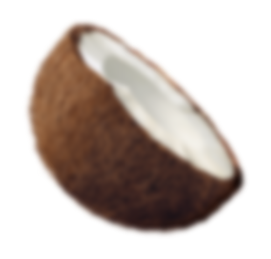 Simplement faites avec de la noix de coco, du nectar de coco et du chocolat non sucré