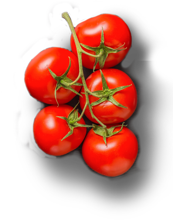tomatoes