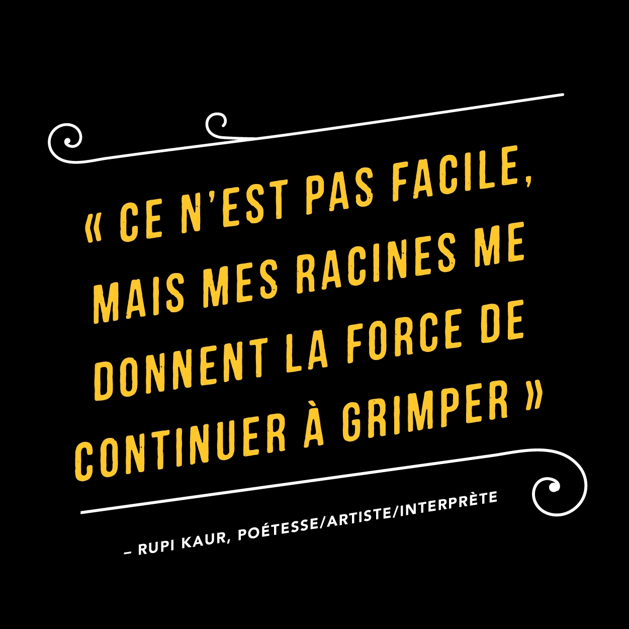 Stacys Rise Quote Image