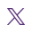 X icon